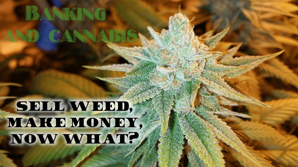Banking & Cannabis | Sell Weed, Make Money, Now What?