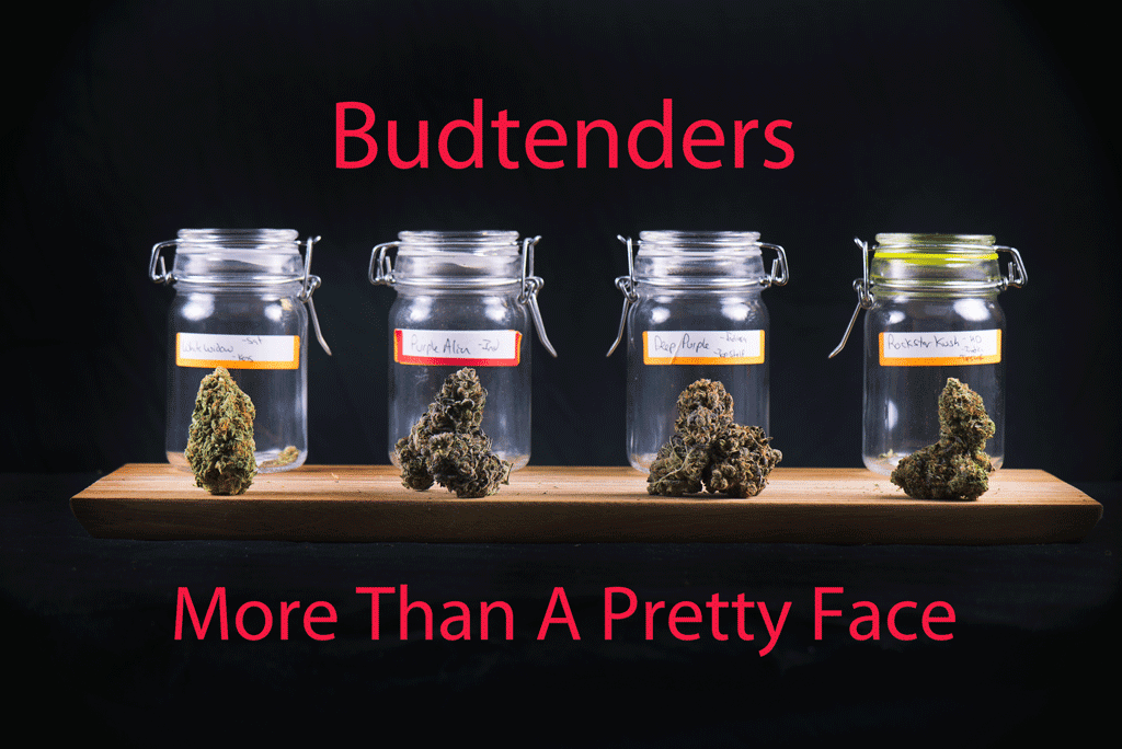 Budtenders More Than A Pretty Face