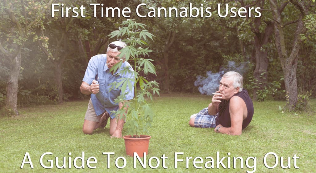 First Time Cannabis Users: A Guide