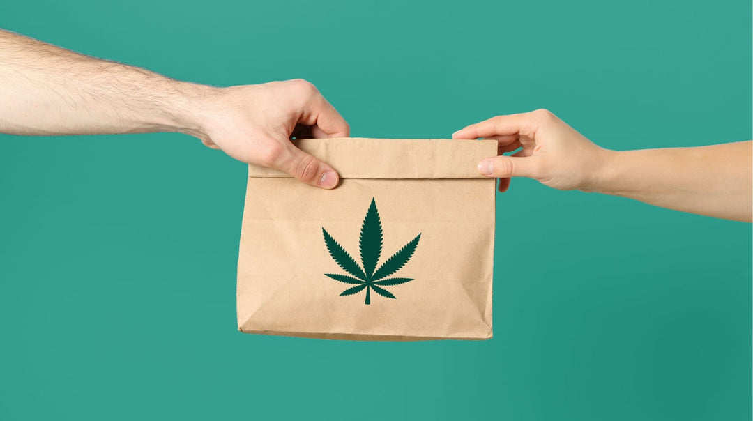 How To Save Some Coins While Buying Weed From Weed Dispensaries in Surrey