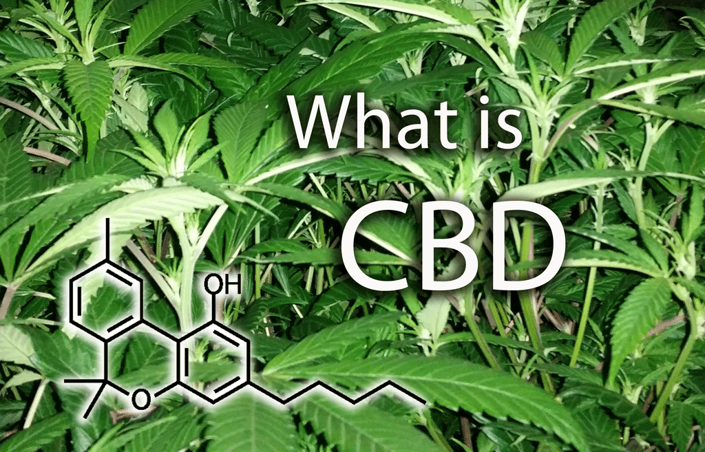 What Is CBD?