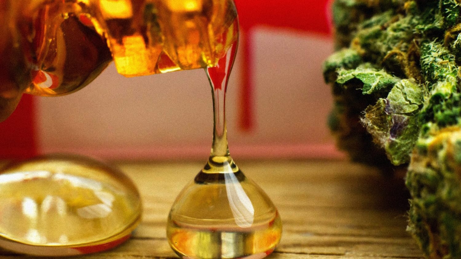 What is CO2 Extraction?