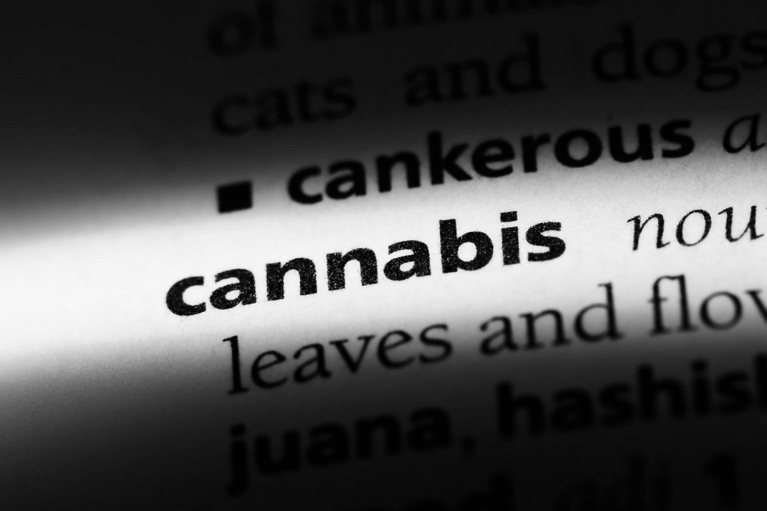 Why It Can Help to Understand Marijuana & Headshop Terminology