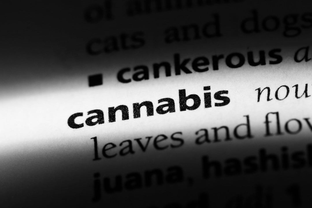 Why It Can Help to Understand Marijuana & Headshop Terminology