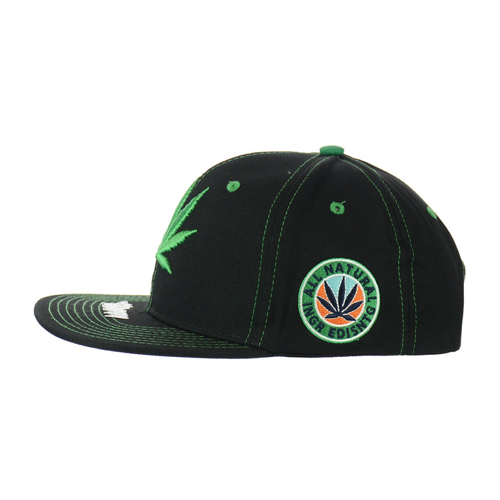 Embroidered Botanical Leaf Snapback Hat