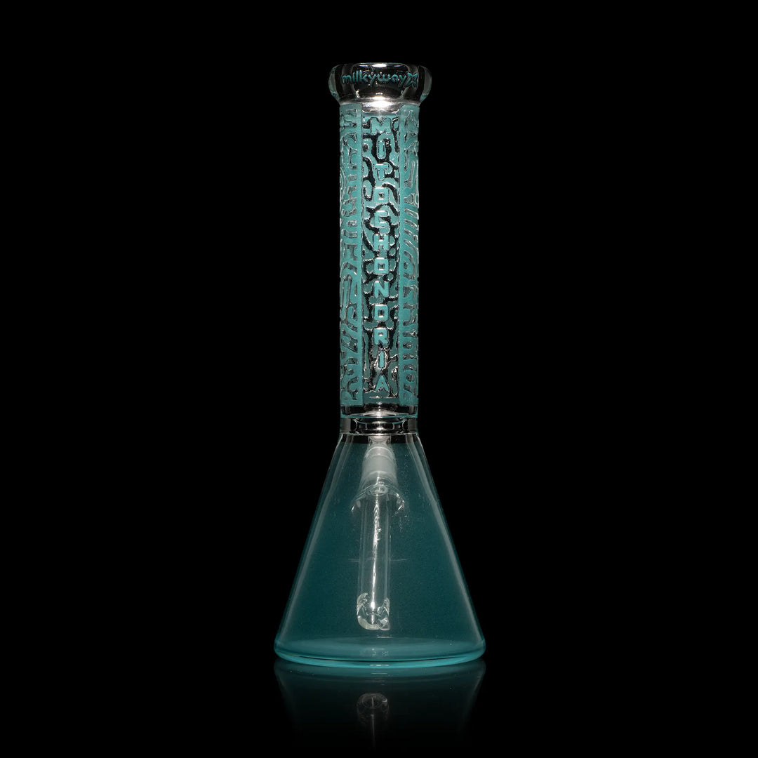 Stable 10 Inch Beaker Bong for Daily Use