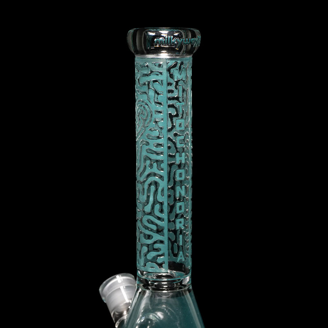 Stable 10 Inch Beaker Bong for Daily Use