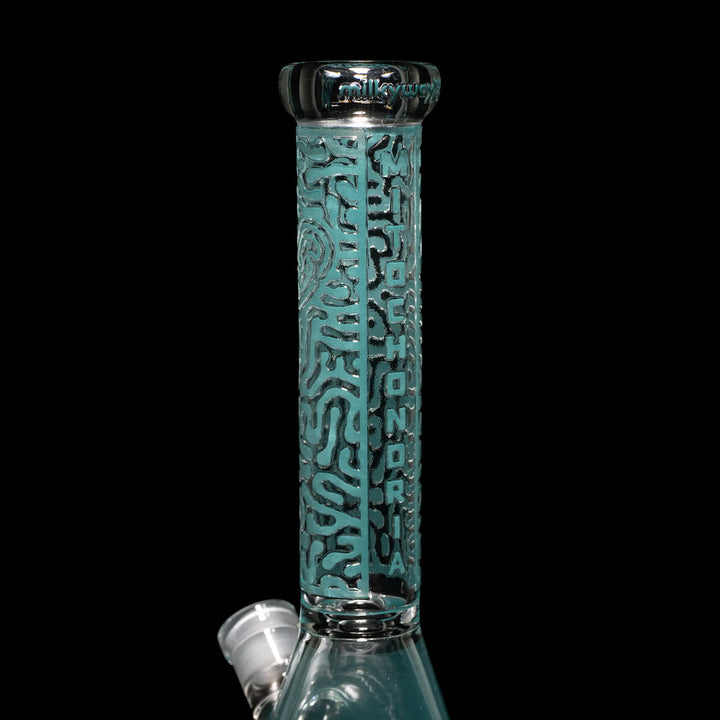 Stable 10 Inch Beaker Bong for Daily Use