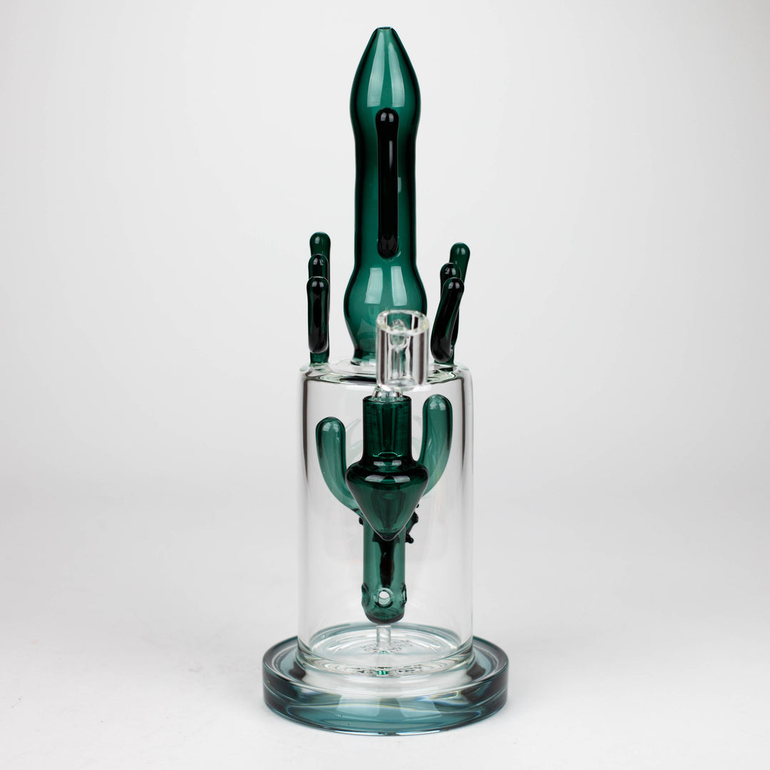 Cactus Rigs 11