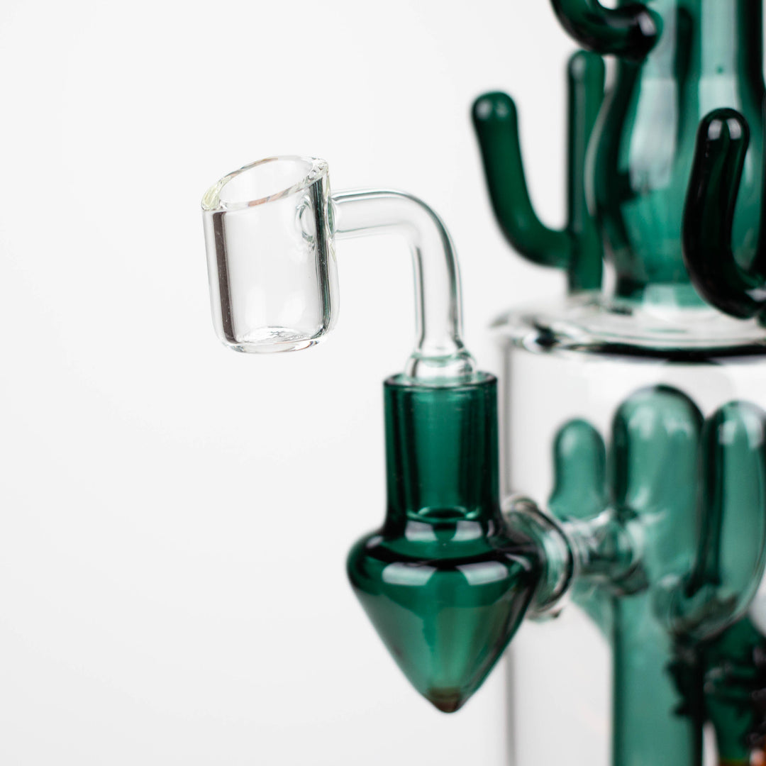 Cactus Rigs 11