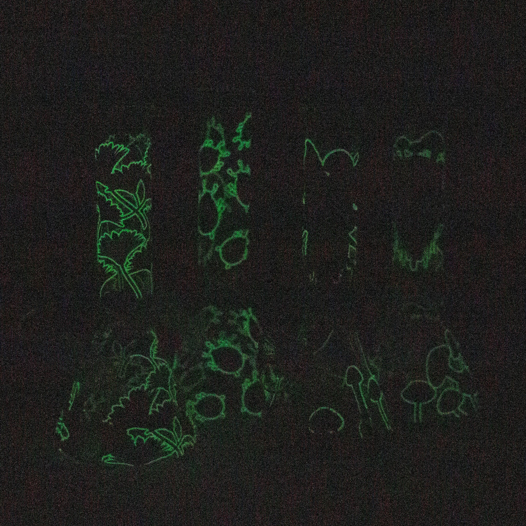 Glass Bong With The Nature Design 10"_4