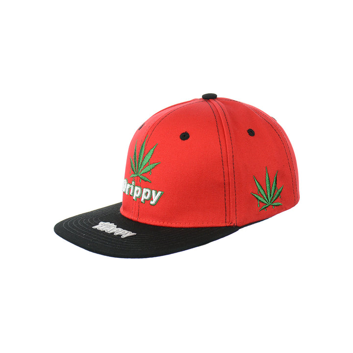 Embroidered Cotton Snapback Hat with Leaf Design
