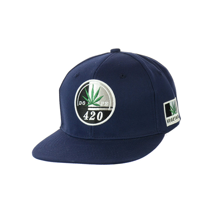 Vegetarian Leaf Embroidered Snapback Hat