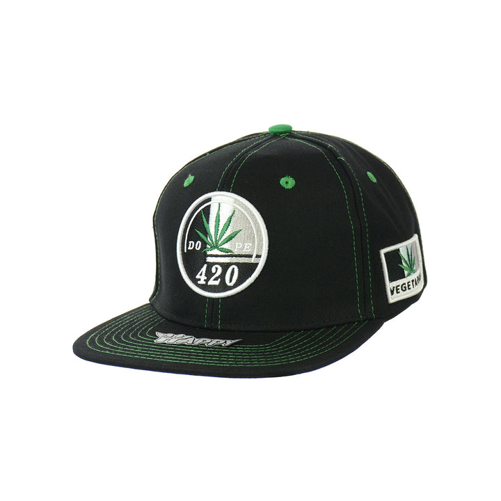 Vegetarian Leaf Embroidered Snapback Hat
