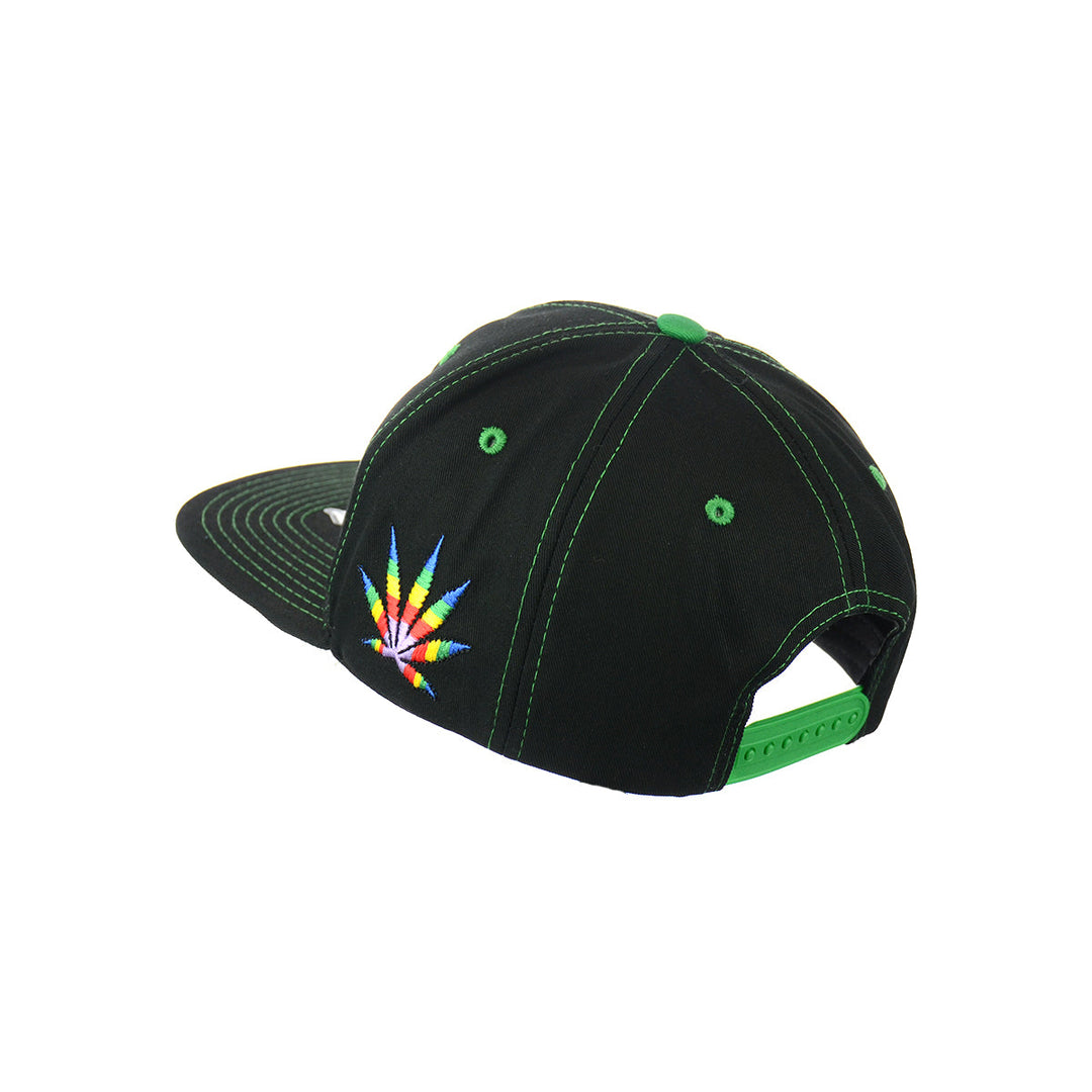 Botanical Embroidered Snapback Cap