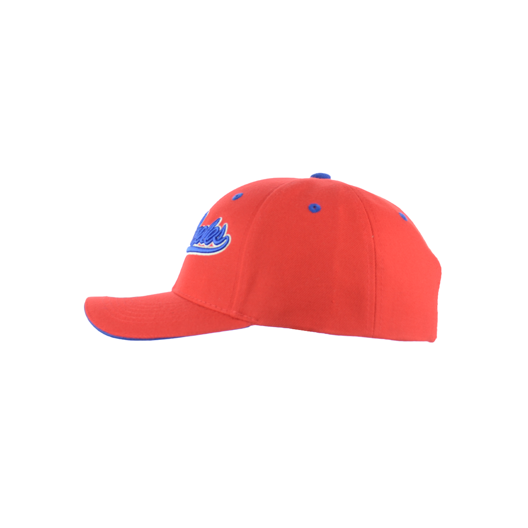 LA Team Embroidered Baseball Cap