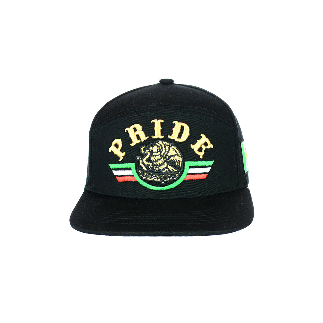 Pride Embroidered Snapback Cap