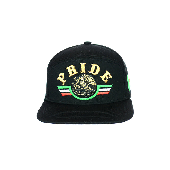 Pride Embroidered Snapback Cap
