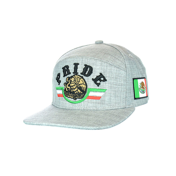 Pride Embroidered Snapback Cap