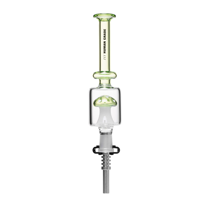 Mushroom Perc Nectar Collector Kit