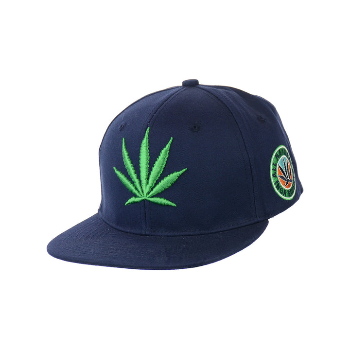 Embroidered Botanical Leaf Snapback Hat