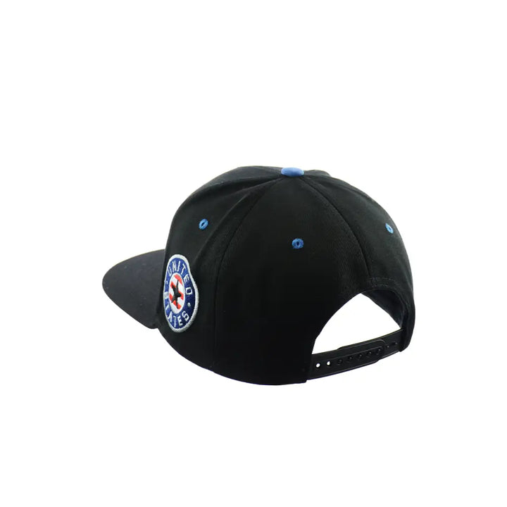American Eagle Hat Embroidered Snapback