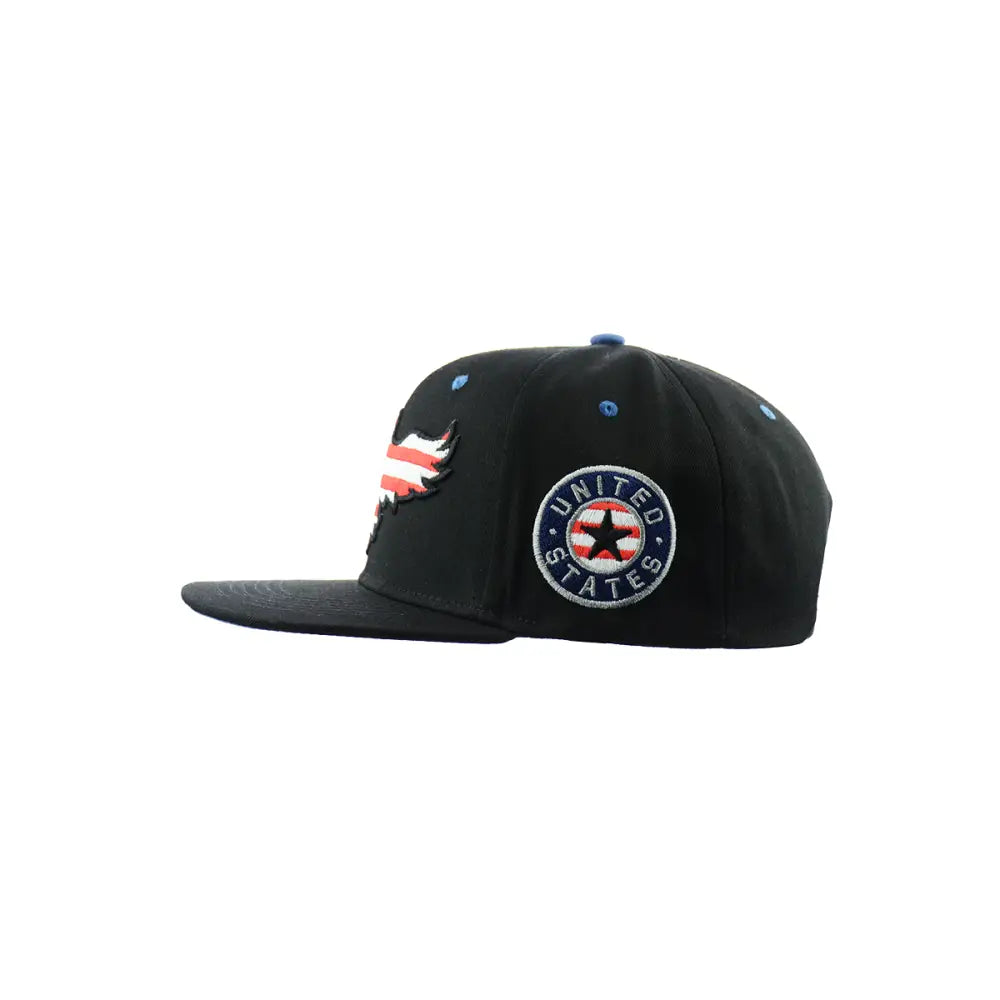 American Eagle Hat Embroidered Snapback