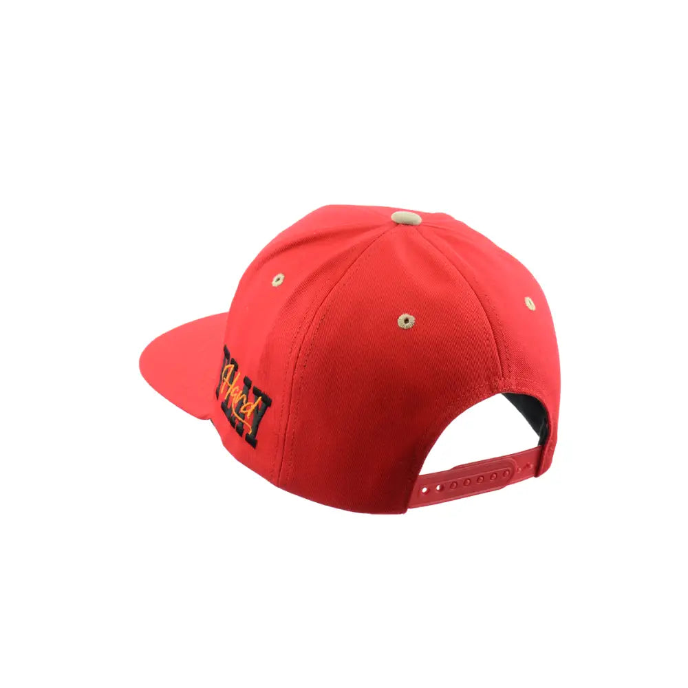 Angled rear view of a red baseball hat with black and gold embroidered text on the side and a red snapback closure.