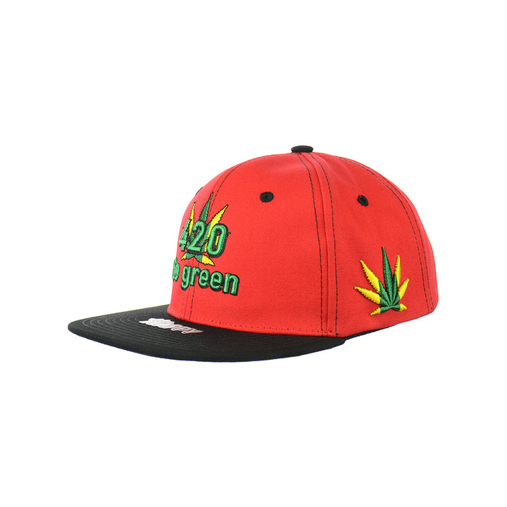 Eco Style Embroidered Cotton Snapback Hat