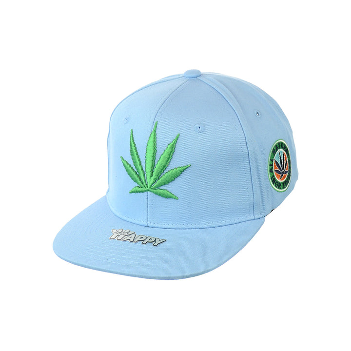 Embroidered Botanical Leaf Snapback Hat