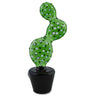 Cactus Pot Glass Pipe Unique Handcrafted Design