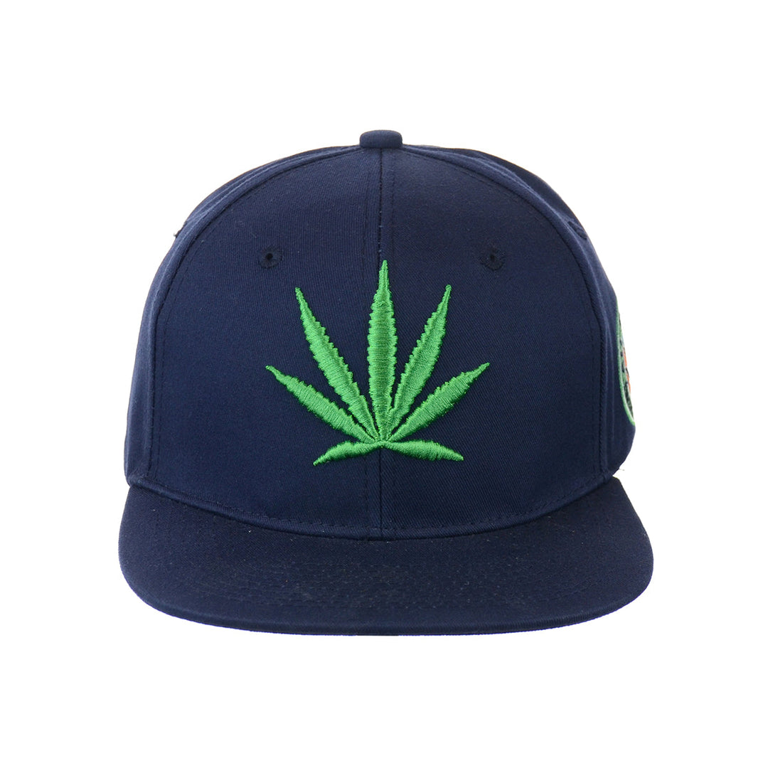 Embroidered Botanical Leaf Snapback Hat