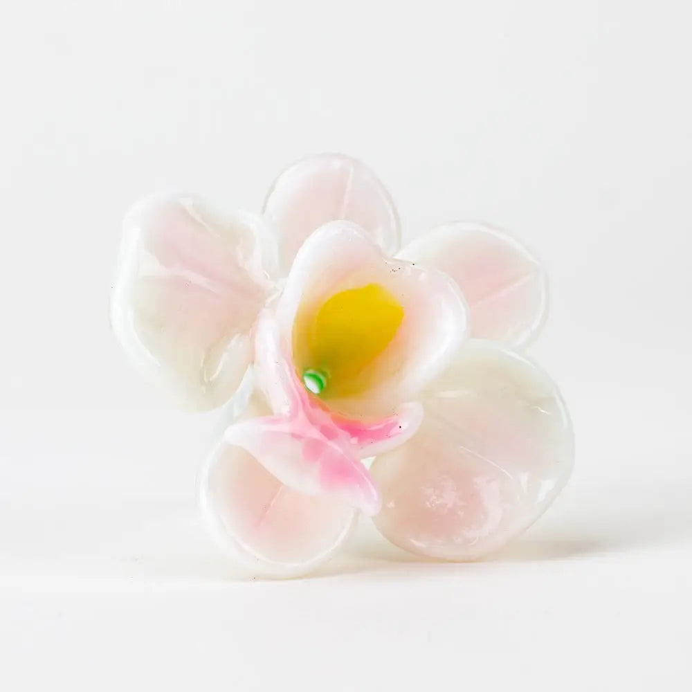 unique-id-8d4f5b70-94c8-44a9-bcc4-c5684a78c8aa