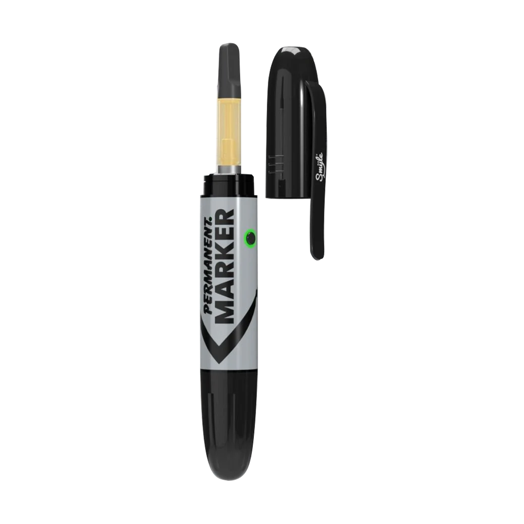 Discreet 4g Cartridge Vaporizer by Penjamin