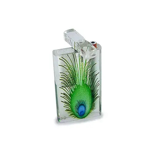 Clear acrylic dugout with an open lid, featuring a vibrant green and blue peacock feather design on the front.