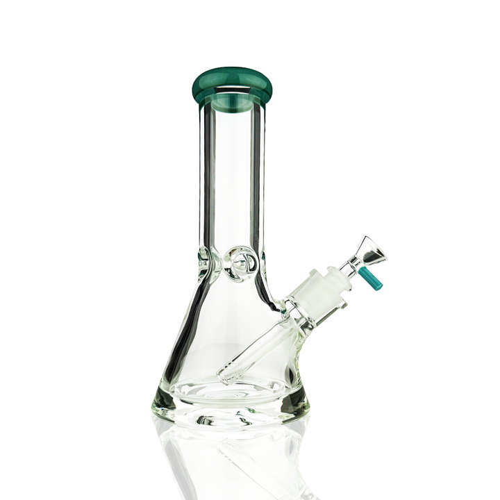 10 Inch 9mm Thick Beaker Water Pipe