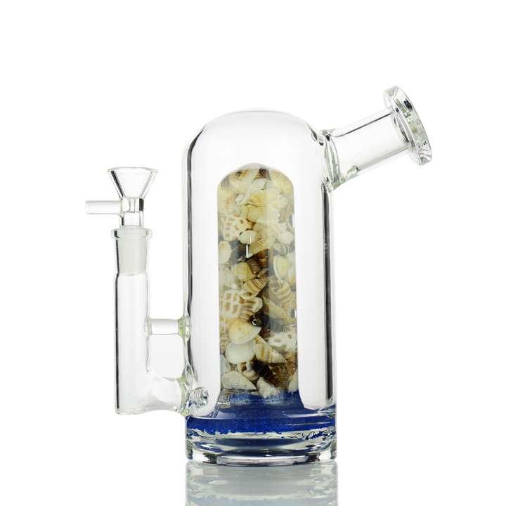 8" Jelly Shower Perc Water Pipe - 14mm Male Bowl