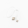 Focus V Carta USB-C Charger Cord