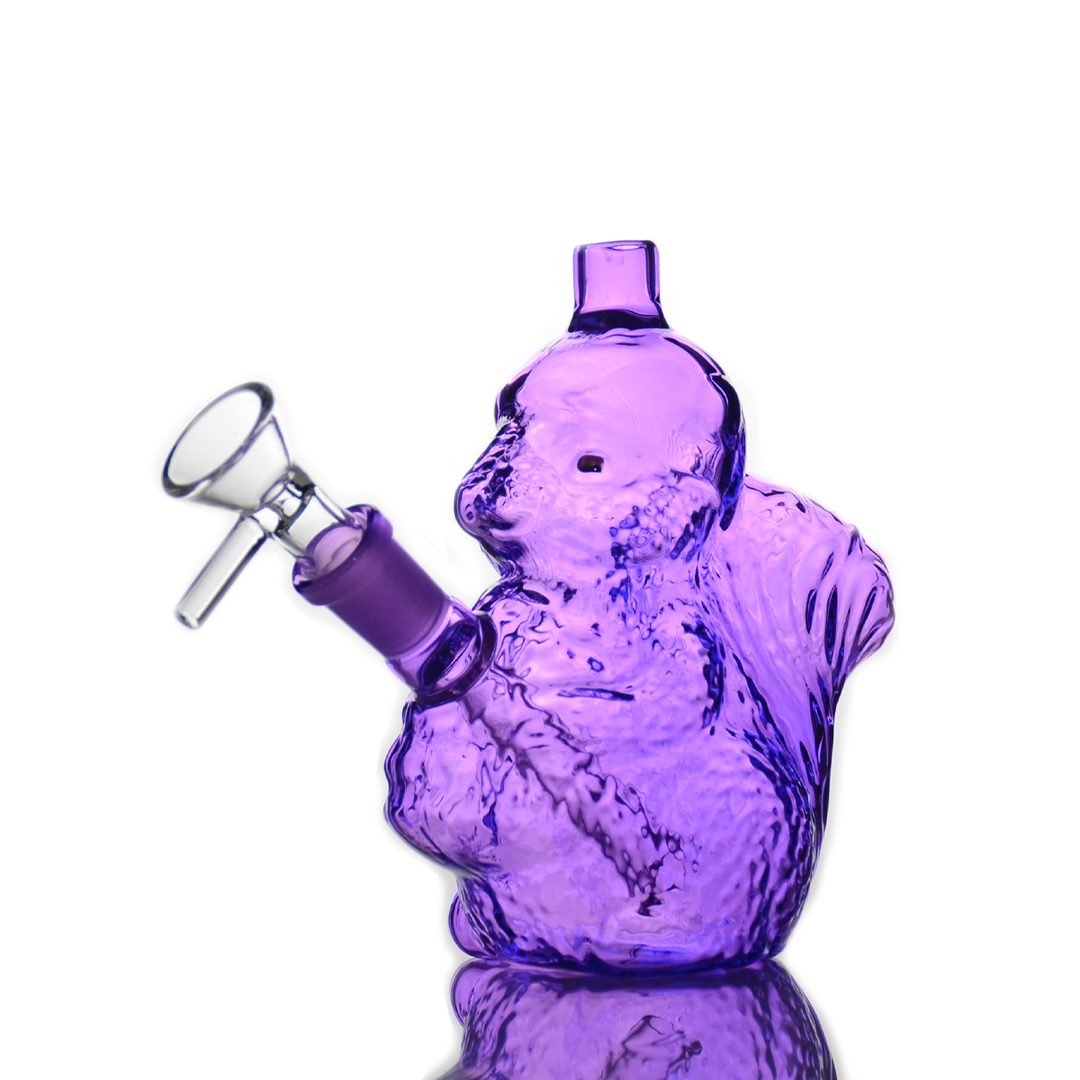 5 Inch Squirrel Water Pipe with 14mm Bowl