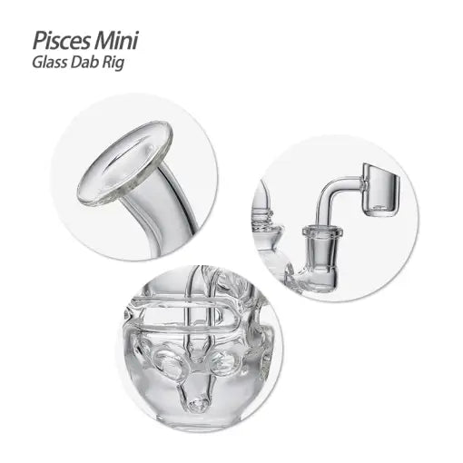 Fab-egg Pisces Glass Dab Rig in Borosilicate Glass