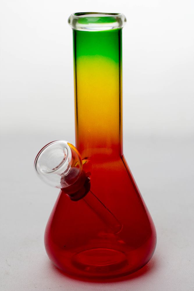 Rasta glass water pipes 6 in_5