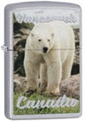 Zippo vancouver polar bear