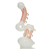 Frit Glass Donut Neck Bubbler for Stylish Collections